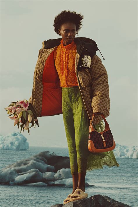 gucci north face iceland.